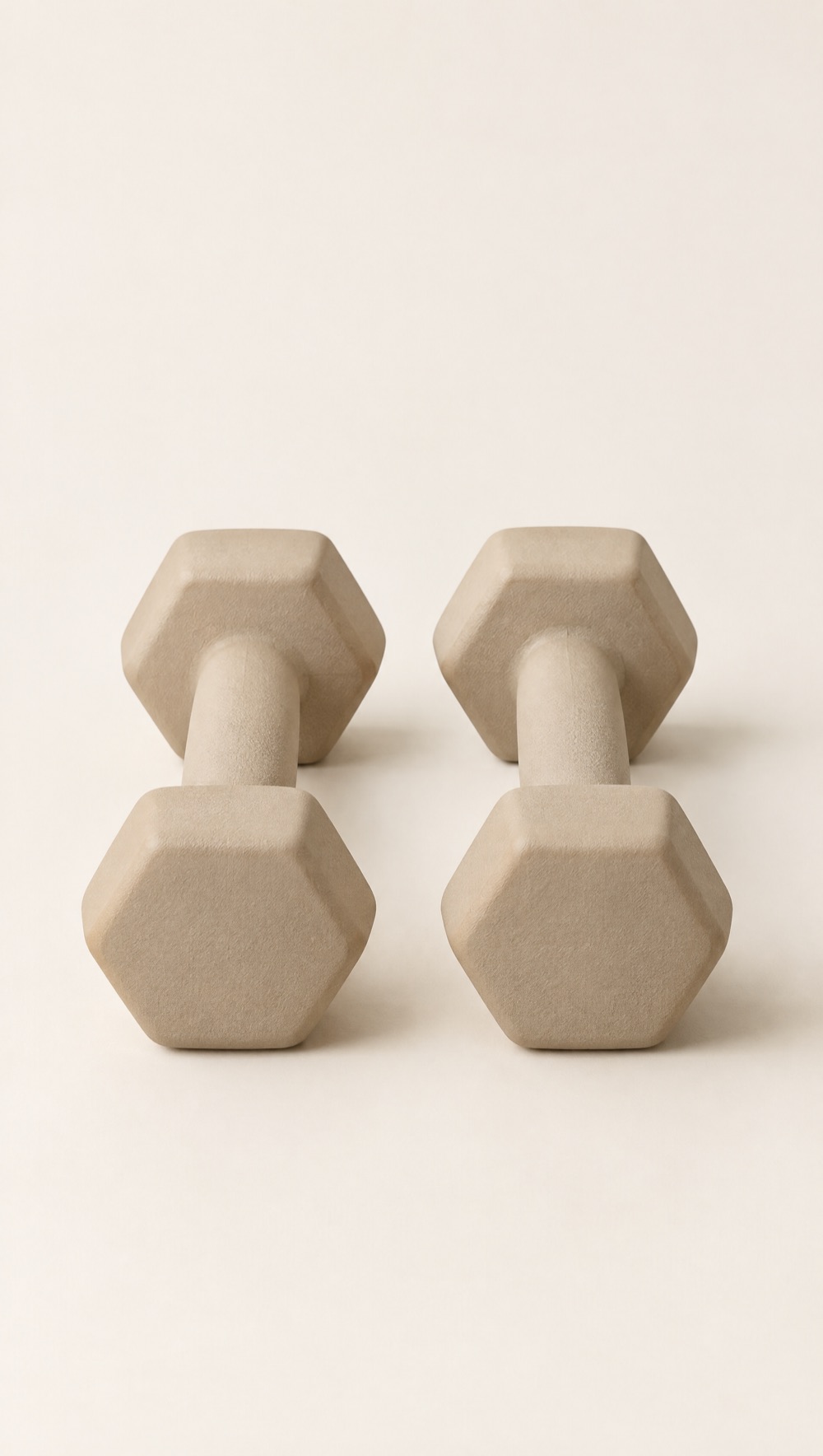 Dumbbells 2 × 2 kg